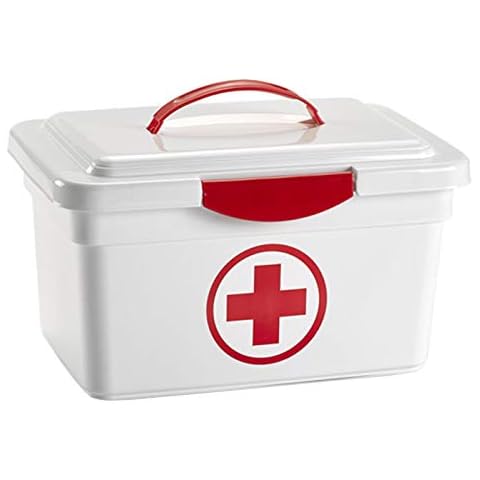 Acan Tradineur - Caja de plástico de almacenamiento con asa y cierre frontal 8 litros Cover