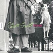 Hardcover Hunde. [German] Book