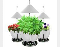 Hydroponic LED Light Automatic Indoor Garden System