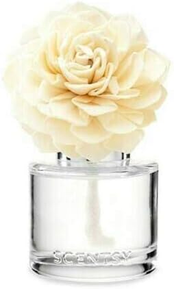 Amazon Rain - Fragrance Flower