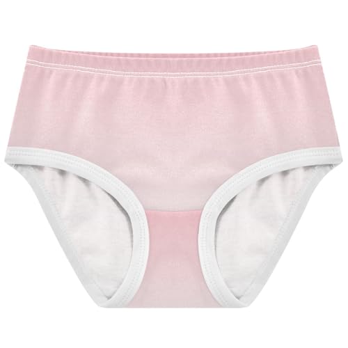 Joisal Cotton Girls Underwear Toddler Blush Pink White Gradient Little Girl Panties Cartoon Briefs Girls Undies 2t