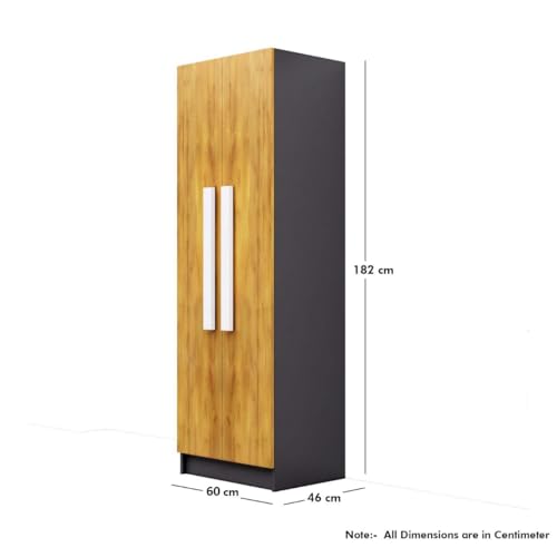 Image of Bniture Wooden Almirah for Clothes, Door for Bedroom, 2 Door Wardrobe with 4 Shelves Huge Storage Space (46D x 60W x 182H CM) | 3 Year Warranty (Giant Wood & Slate Grey)