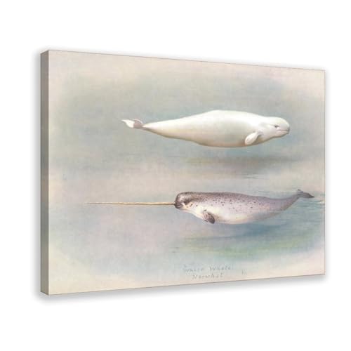 Impression sur toile Narval et baleine blanche Archibald Thorburn toile à suspendre 61x91,4 cm