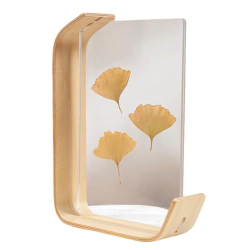 [Queen-b]  t[ AN X^h   ؐ  CeA  t[ hCt[ z  A W{ A[g  fBXvC (i`, )