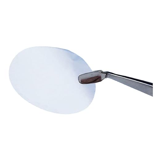 Whatman 111710 Polycarbonate Nuclepore TrackEtched Membrane Filter