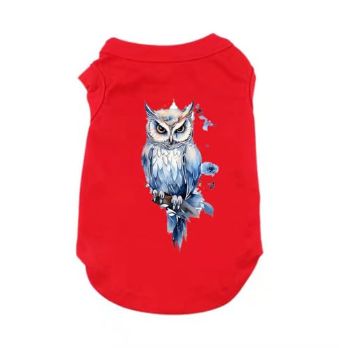 ZSDGBZ  ėp ⊴ bh TVc ^  ʋC  ΍ p^Ngbv t Ă΍ 畆ی X|[cEFA JWA Lk  o U