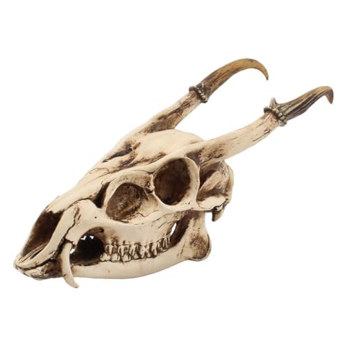 Calavera de resina resistente para decoración de Halloween gótica 3