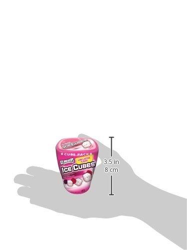 Ice Breakers Ice Cubes Sugar Free Gum with Xylitol, Raspberry Sorbet, 40 Piece (Pack of 4)