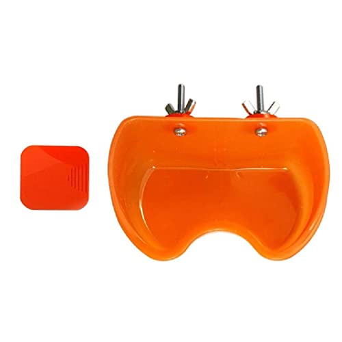 Modelo de pie de Silicona, Simulación modelo modelo pie fetiche lamiendo medias de belleza fotografía silicona bosquejo pintura manicura uñas arte TGZ3782(Right foot)