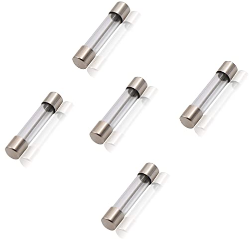 5 Pcs 20 Amp 125 Volt Fuse for Frigidaire, GE Hotpoint Microwave, Replacement Models WB27X11138 1381114 00469295 30469294 5304509451 70462163 79083383710 Microwave Fuses| 6x30mm 611 Microwave