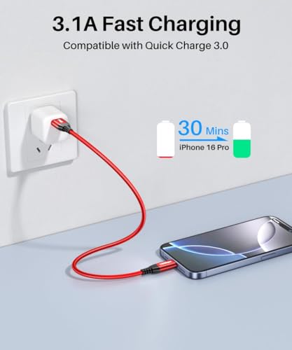 Image of LDLrui USB C Data Cable 10Gbps, 0.5ft, 1-Pack, Red, Braided