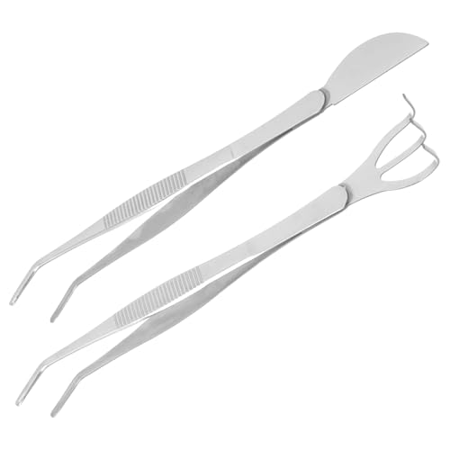 OFFSCH Bonsai Tweezers Set Small Rake Tweezers Spatula Portable Rustproof for Bonsai Succulent and Moss Planting