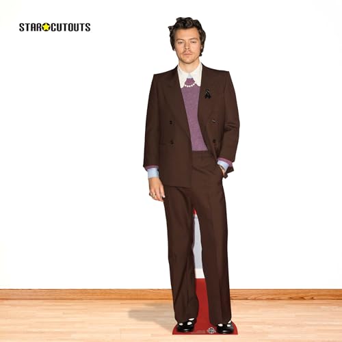 STAR CUTOUTS CS836 Harry Singer Songwriter Cardboard Cutout with Free Mini Standee Perfect for Birthdays, Gifts, Parties & Fans, Multicolour, Regular