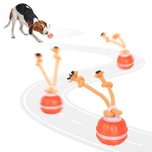 Noaya 2026 New Chase Buddy Dog Toy - Interactive Dog Ball for Boredom with 2 Chew Ropes Active Dog Ball with Tail and Bird Sounds USB Charging Moving Dogs Toys for Small Medium Large Dogs (Orange)