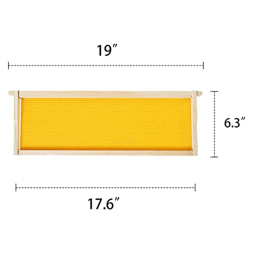 MayBee Medium Super Beehive Frames with Wax Foundations, 10 Pack Honey Bee Frames with 100% Beeswax Coated Food Grade Foundation Sheets, 6-1/4-Inch (Yellow)