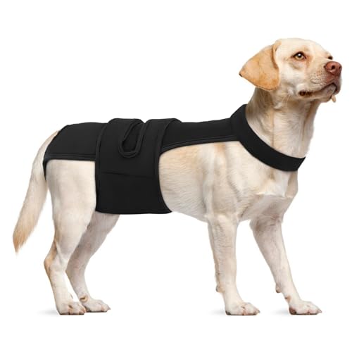 Image of Lelepet Female Dog Diapers with Suspenders, Washable & Reusable Black L | Adjustable and absorbent dog diapers for heat cycles, incontinence, and senior dogs. Comfortable all-day fit. Pet panties