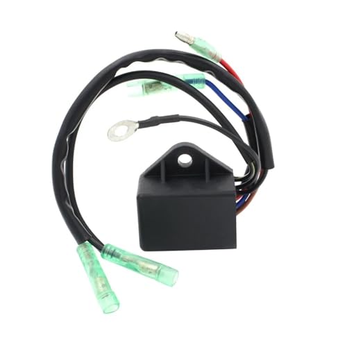 Bobine d'allumage hors-bord 803704 : étincelle stable pour moteur 2T