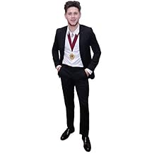 Niall LIFESIZE Cardboard Standup Standee Cutout Poster Display Figure Prop