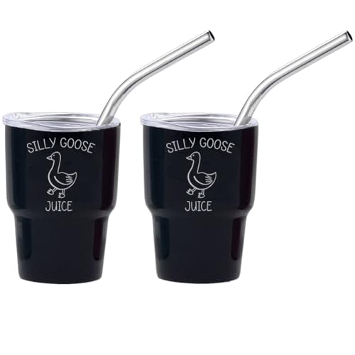 Set of 2 Mini Tumbler Shot Glasses 3oz Shot Glass With Straw and Lid S