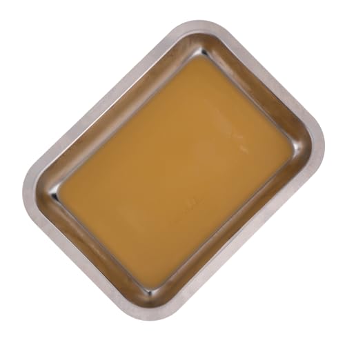 Gogogmee Anatomy Tray Laboratory Storage Dissecting Tray with Desktop Organizer Dissection for Students Medical Tray Laboratory Tool Tray Stainless Steel Silver