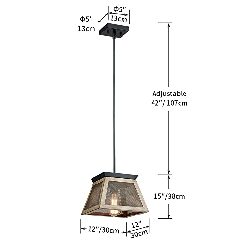 Shrine Lighting 20012 Farmhouse Chandelier Lighting, Drum Shap Chandelier, 4-Lights, D20 X H10 Adjustable 42" Chain, White Birch Finish #TOP1