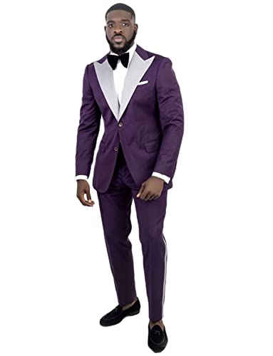 Costume décontracté homme ensemble deux pièces pour bal et dîner chic