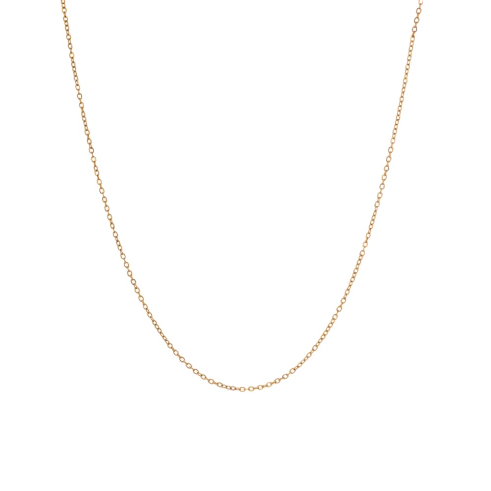 PALMONAS Women Gold Toned 18 k Gold Plated Thin Chain |Gifts For Girlfriend |Gift For Women & Girls (B0DBDYWZYX) Amazon Price History, Amazon Price Tracker