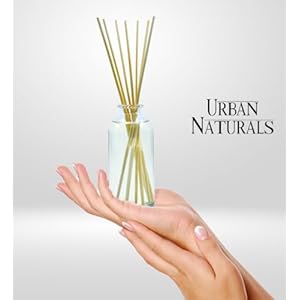 Urban Naturals Pumpkin Brulee Scented Sticks Reed Diffuser Oil Set | Fall & Winter Home Scent | Creamy Pumpkin Pie, Nutmeg & French Vanilla | Beautiful Autumn Home Decor | Great Gift Idea Urban Naturals Pumpkin Brulee Scented Sticks Reed Diffuser Oil Set Fall Winter Home Scent Creamy Pumpkin Pie Nutmeg French Vanilla Beautiful Autumn Home Decor Great Gift Idea