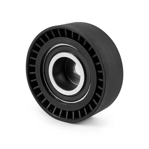 Poulie de renvoi de tendeur de courroie pour BMW E46 E39 X5 résout le sifflement moteur