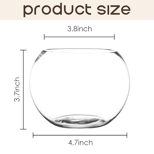 Image of 6 Pack Clear Bubble Bowl Glass Vase, 4.7 inch W x 3.7 inch H Fish Bowl Vase Round Candle Holders Clear Bubble Planter Terrarium Fish Bowl Flower Vases, Decorative Centerpieces for Wedding Home Decor