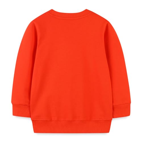 Boys Sweatshirts Long Sleeve Sweatshirts T-shirts Crew Neck Cotton Casual Sweatshirts Cartoon Tops for Boys-1272