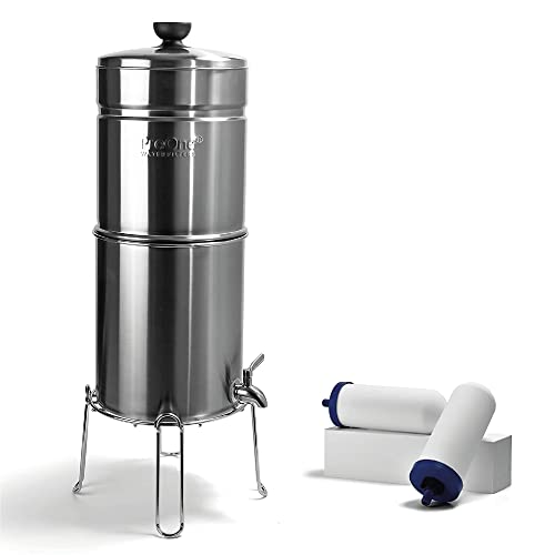 ProOne Big+ Gravity Water Filter System High Capacity Countertop Stainless Steel Water Filter Dispenser IAPMO Certified to Reduce Lead Total PFAS Microplastics Chlorine Taste & Odor 2 Pack Filter