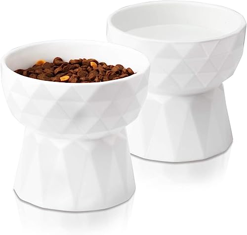 Image of PETANGEL Ceramic Eelevated Anti Vomiting Pet Food Bowl (Pack of 2 (Oval White))