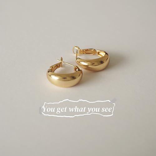 14K Real Gold Plated Hoop Earrings for Women,Small Gold Hoop Earrings for Women, Hypoallergenic 925 Sterling Silver Post, Lightweight Exquisite Wife Earring Mother Gift4