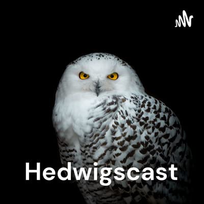 #07 Harry Potter Zitate raten