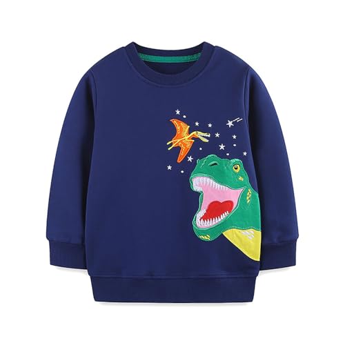 Boys Sweatshirts Casual Sweatshirts Cotton Sweatshirts Long Sleeve T-shirts Crew Neck Cartoon Tops for Boys-232 - Main Image