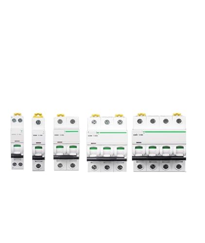 Disjoncteur IC65N 2P 63A Schneider et interrupteur principal pour tableau électrique