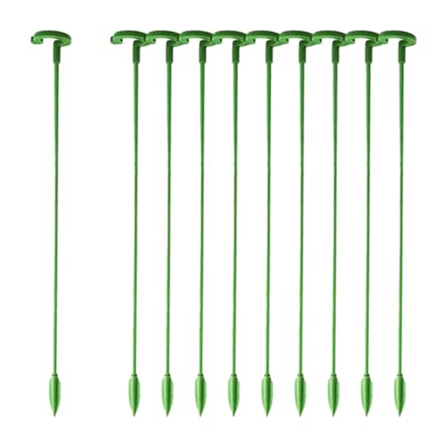 Generico Di Supporto Per Piante - Asta In Fibra Di | Caratteristica Di Stabilità 'anello Multilunghezza Da 17–37 Cm | Fornisce Prestazioni Di Tenuta Salde E Verticali Per Il Support