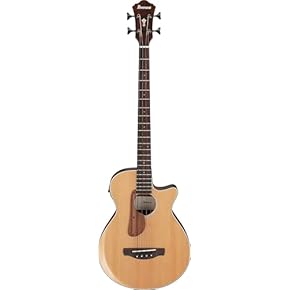 Amazon.co.jp: Electro-Acoustic Bass Guitars: Musical Instruments