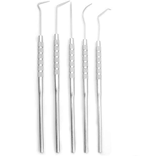 Scientific Labwares 5-Piece Stainless Steel Precision Probe, Pick and Hook