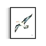 HomeArtPrint Albatross Watercolor Print