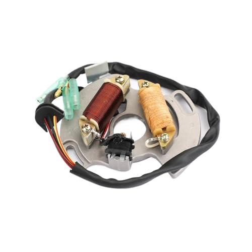 Stator d'alternateur YFS200 pour vos sorties tout-terrain et randonnées moto