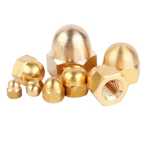 �G�C�R�[���h�[���i�b�g M3 M4 M5 M6 M8 M10 M12 M14 M16 M18 �^�J/304�X�e�����X�|/304���Z�p�ɂݖh�~����іh�K�i�b�g(Brass,M8 (10pcs))