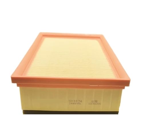 Filtro de aire de coche OE:1444FK SY3174 para Peugeot 307 CC SW y Citroën C4 2
