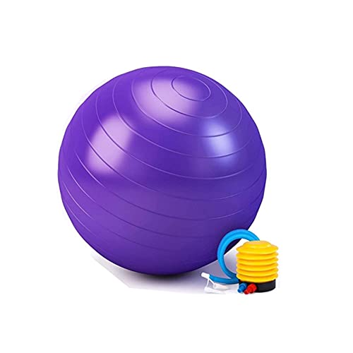 Bola Suiça Roxa 65cm + Faixa Elástica Tensão Média Bravus