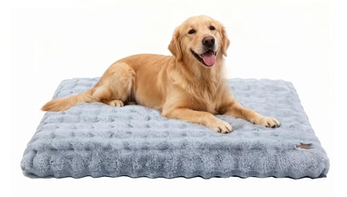 BingoPaw Hundebett Grosse Hunde waschbar: XXL Hundebetten flauschig Plüsch Hundematte für große Hunde, Hundekissen wasserdicht abnehmbar rutschfest, beruhigendes Haustierbett Grau, 120x90x12 cm