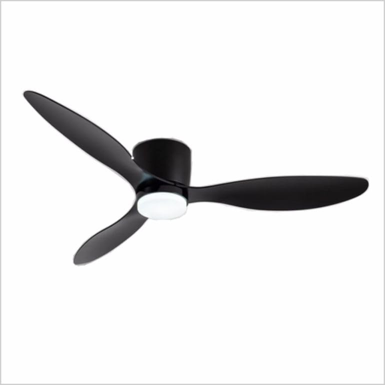 PAPUQ Ventilador de techo con luz, silencioso DC, mando a distancia, Negro, Ø 107cm, tono de luz ajustable y regulable