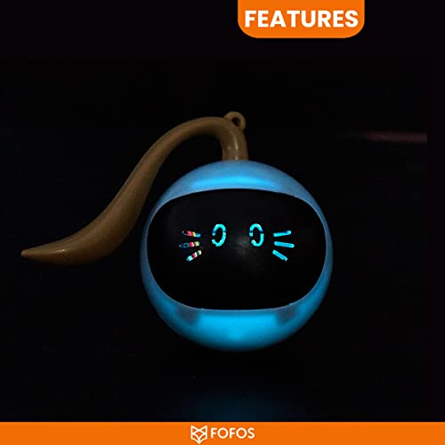 Image of BarkButler X FOFOS Whirli Cat Toy - Interactive Cat Toys, Toys for Kitten and Adult Cats