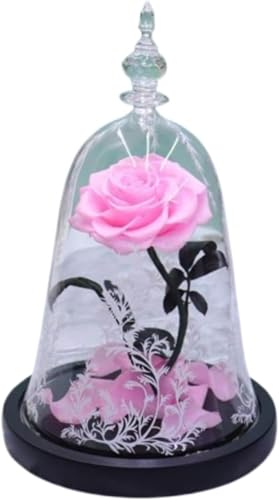 BianstarƖb a LO j v|[Y vU[uht[ 閂@̃o  MtgMtgZbgグ܂ (B) [sAi]