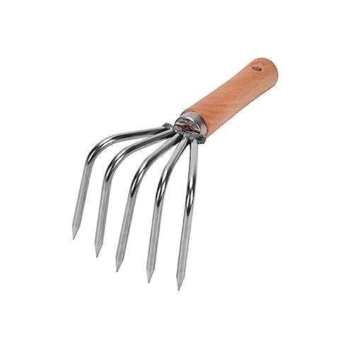 Crochet à palourde 5 dents